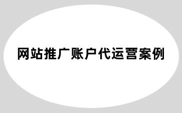 网站推广账户代运营案例
