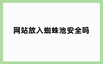 网站放入蜘蛛池安全吗