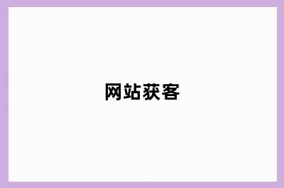 网站获客