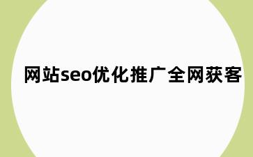 网站seo优化推广全网获客