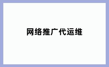 网络推广代运维