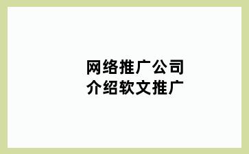 网络推广公司介绍软文推广