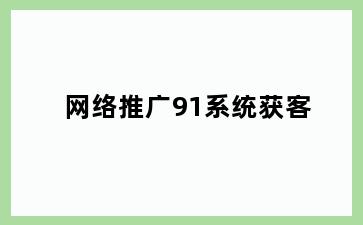 网络推广91系统获客