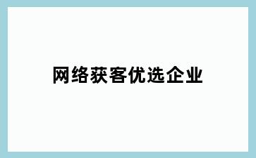 网络获客优选企业