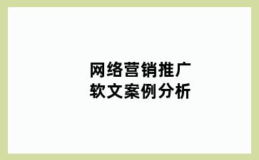 网络营销推广软文案例分析