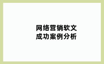 网络营销软文成功案例分析