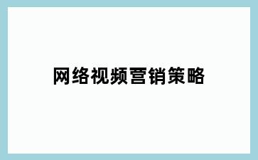 网络视频营销策略
