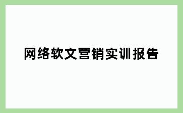 网络软文营销实训报告