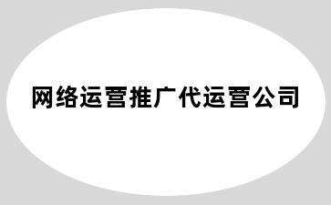 网络运营推广代运营公司