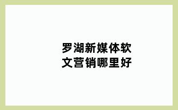 罗湖新媒体软文营销哪里好