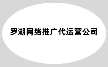 罗湖网络推广代运营公司