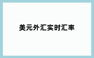 美元外汇实时汇率