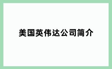 美国英伟达公司简介
