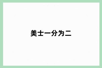 美士一分为二