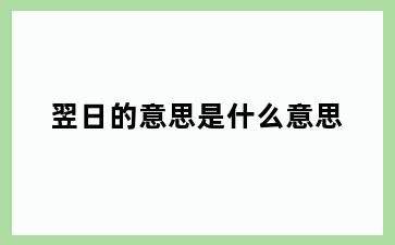 翌日的意思是什么意思
