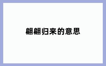 翩翩归来的意思