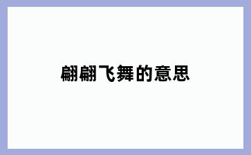 翩翩飞舞的意思