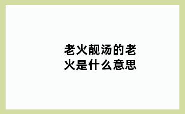 老火靓汤的老火是什么意思