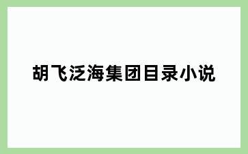 胡飞泛海集团目录小说