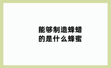 能够制造蜂蜡的是什么蜂蜜