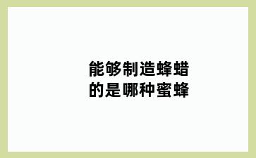 能够制造蜂蜡的是哪种蜜蜂