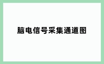 脑电信号采集通道图