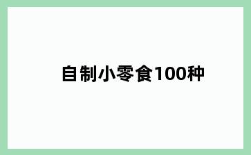 自制小零食100种