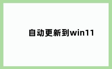 自动更新到win11