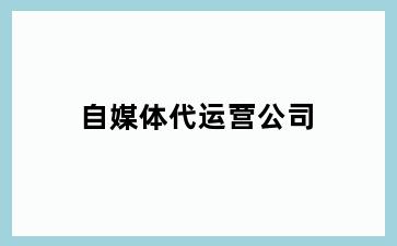 自媒体代运营公司