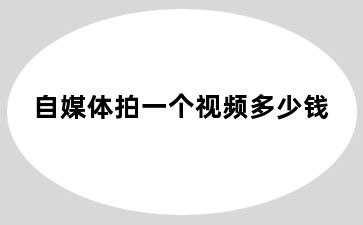 自媒体拍一个视频多少钱