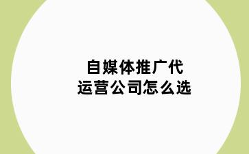 自媒体推广代运营公司怎么选