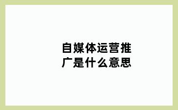 自媒体运营推广是什么意思
