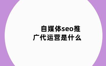 自媒体seo推广代运营是什么