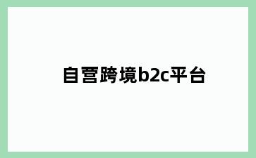 自营跨境b2c平台