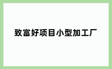 致富好项目小型加工厂