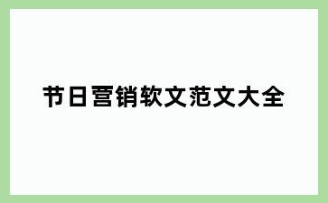 节日营销软文范文大全