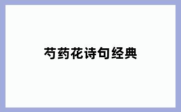 芍药花诗句经典