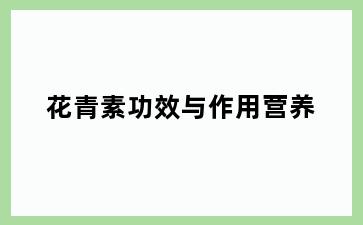 花青素功效与作用营养