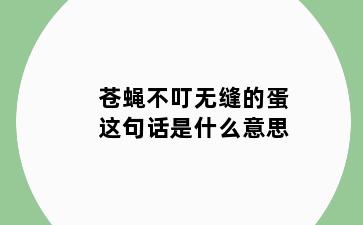 苍蝇不叮无缝的蛋这句话是什么意思