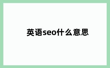 英语seo什么意思