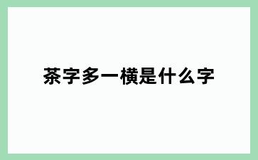 茶字多一横是什么字