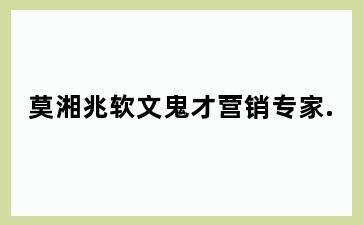 莫湘兆软文鬼才营销专家.