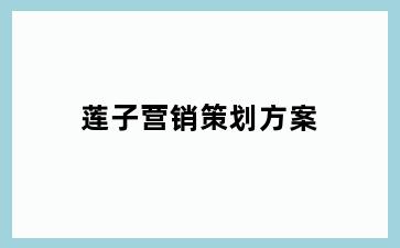 莲子营销策划方案