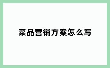 菜品营销方案怎么写