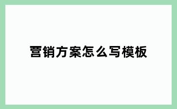 营销方案怎么写模板