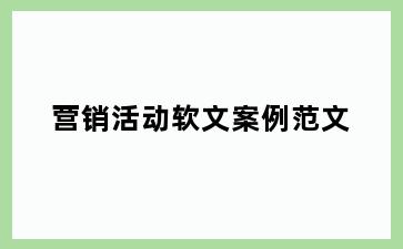 营销活动软文案例范文