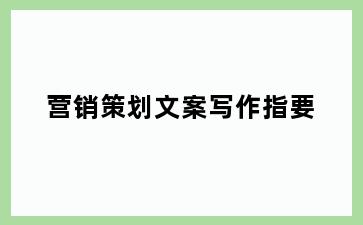 营销策划文案写作指要