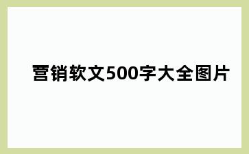 营销软文500字大全图片