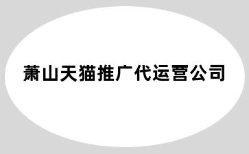 萧山天猫推广代运营公司