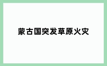 蒙古国突发草原火灾